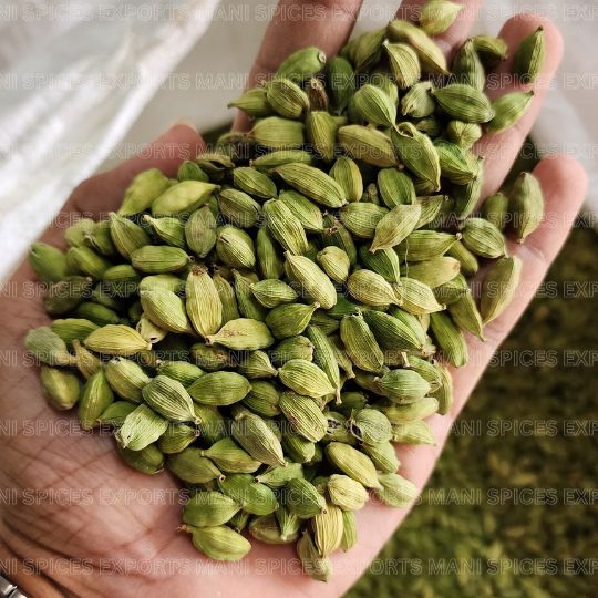 8mm Plus Green Cardamom