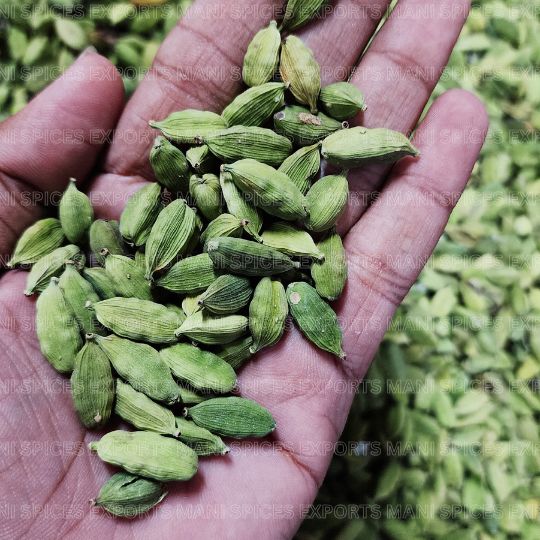 Premium 8.5mm Green Cardamom India