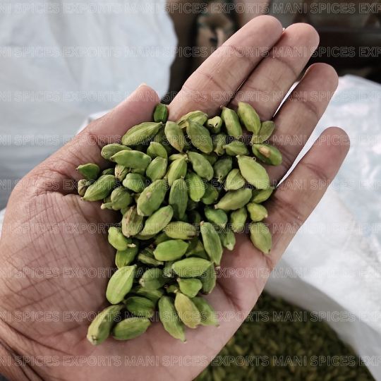 Green Cardamom 8 mm — export grade, hand-sorted at our Idukki factory